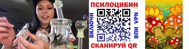 как найти   Светогорск  Галлюциногенные грибы мухоморы 